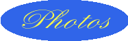 Nos photos