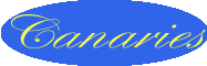 Les Canaries